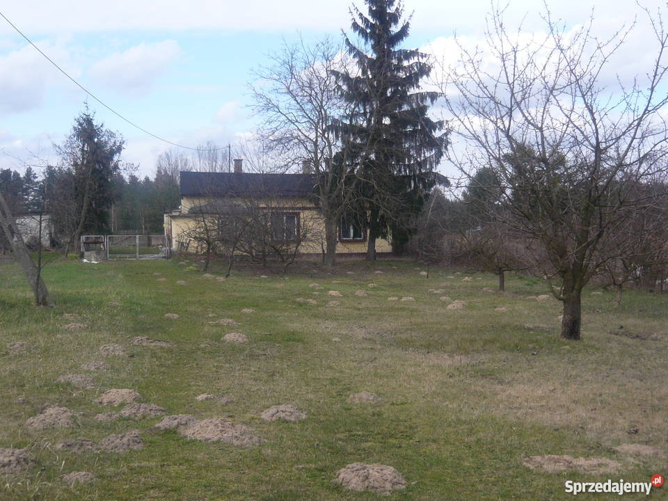 DZIAŁKA BUDOWLANA Raciążek 3 Ciechocinka Raciąż