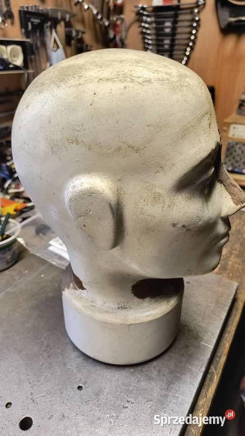 Model ludzkiej głowy Bielsko-Biała