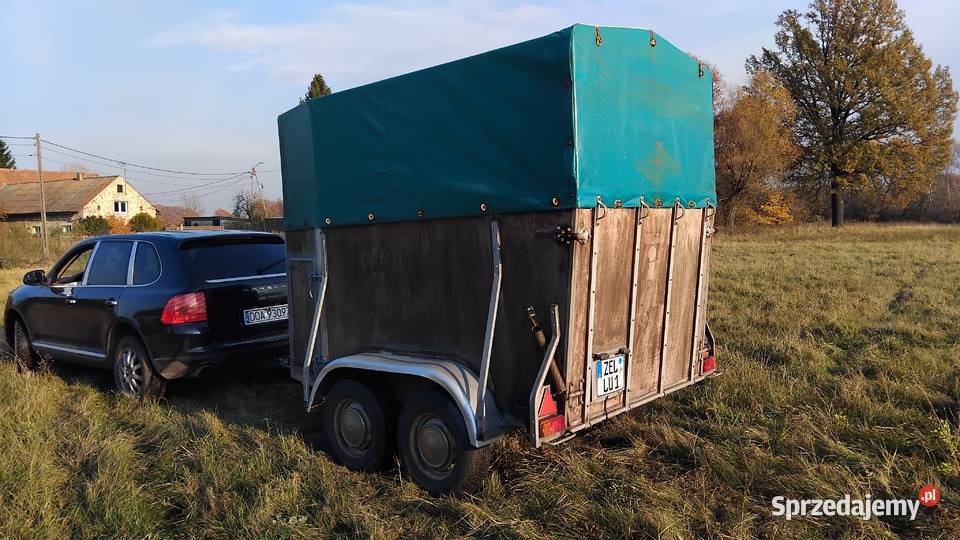 Przyczepa do przewozu koni niemiecka Oława