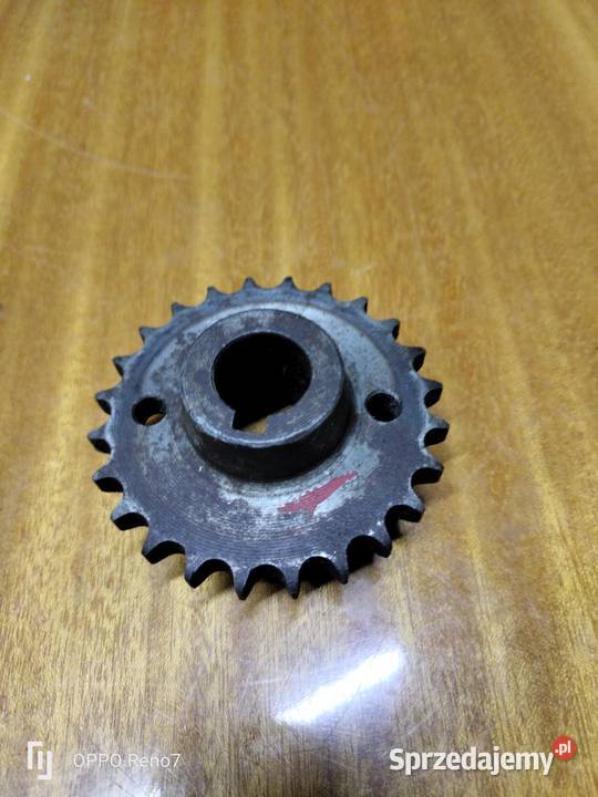 Zębatka 24 zęby panonia Łubno