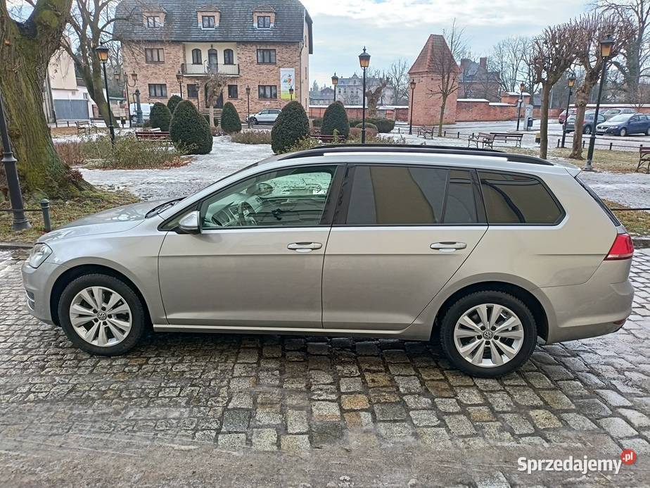 VW GOLF VII Najlepszy Silnik 14 125 Bogata Wschowa