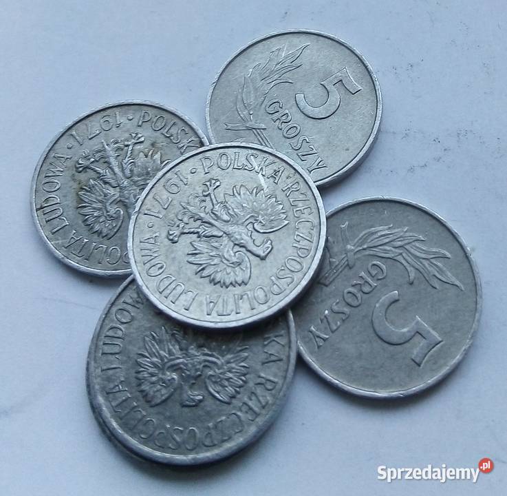 POLSKA5 GROSZY191 rzzmAL6 SZTUK Legionowo