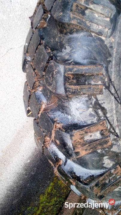 Koła 100018 Star sam es