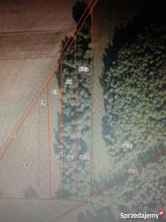 Sprzedam Działki Leśne Kitki gm Dzierzgowo leśna Grunty i działki Mława