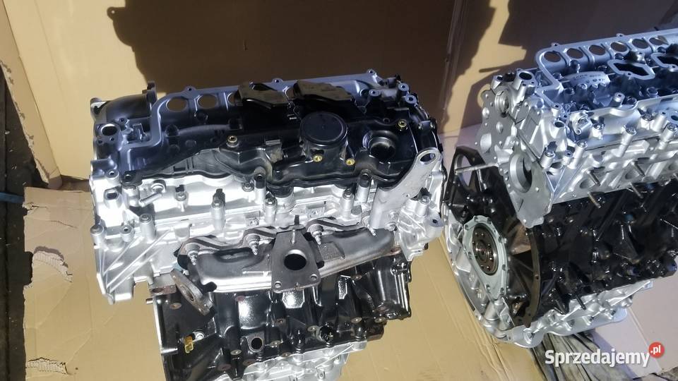 Silniki RENAULT TRAFIC OPEL VIVARO NISSAN podkarpackie Dynów