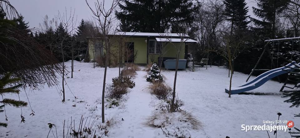 Działka rekreacyjna ROD Chełmno Sprzedaż Grunty i działki