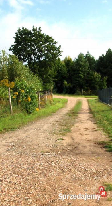 Działka 2806m2 Klimki Sprzedaż sprzedam