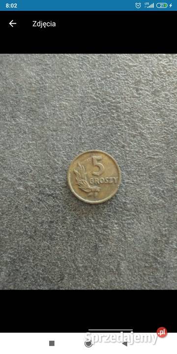 5 groszy 1949 Bolesławiec sprzedam