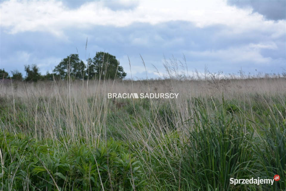 Działka na sprzedaż 1726m2 Glewiec gaz Sprzedaż