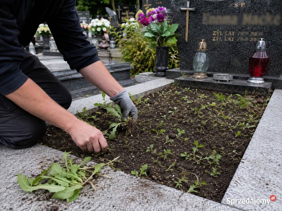 Odchwaszczenie grobu pomnika cmentarz Kiełczów Wrocław