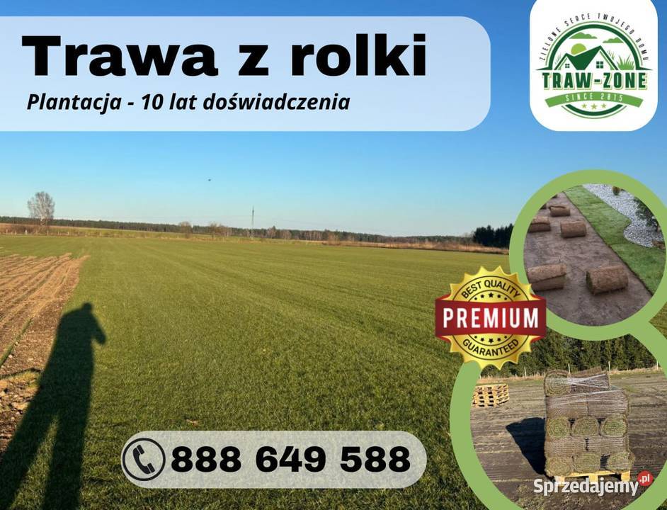 40m trawa w rolce Plantacja Stargard