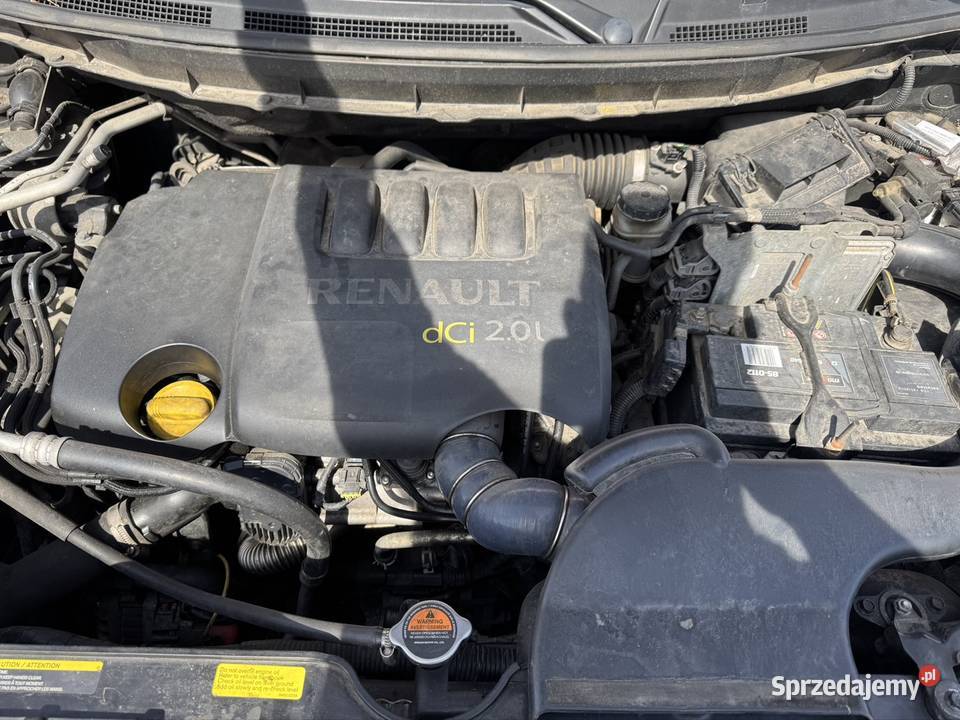 Renault Koleos 2008 20dci manual Zarejestrowany w Polsce Siedlce