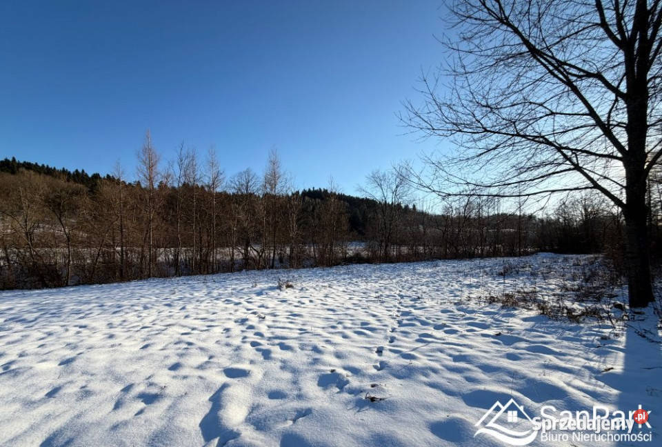 Ogłoszenie działka Hoczew 1669m2