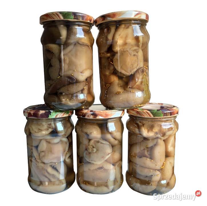 Maślak zwyczajny 315ml 2025 Grzyby