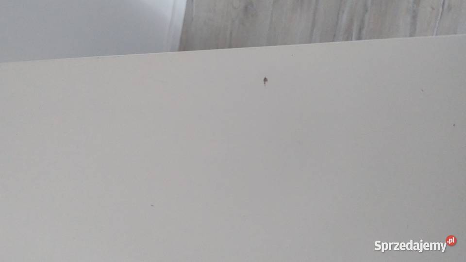 DWA REGAŁY TROFAST Ikea z 4 półkami i 4 Tomice