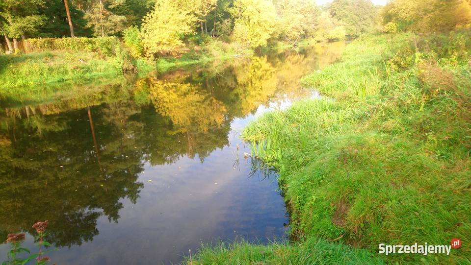 Sprzedam działkę 4828m2 Wkrą z prawem zabudowy utwardzona Popielżyn-Zawady sprzedam