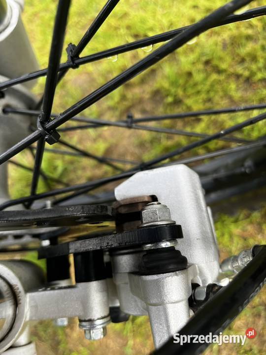 RFZ 250 Lizzard asix kayo diabolini xmotos Skoroszyce sprzedam