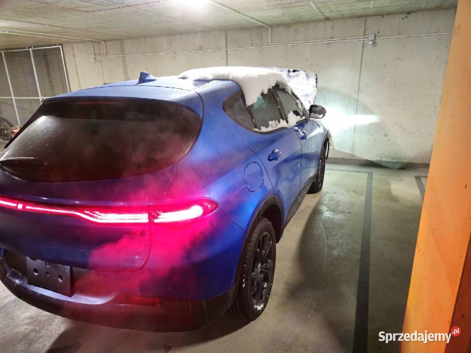 Dodge Hornet 20L lubuskie Skwierzyna