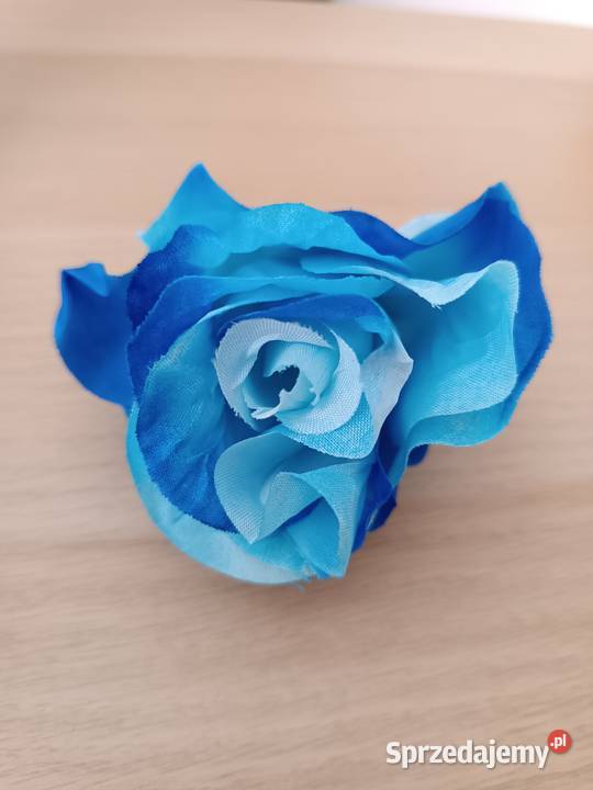 Róże rozwinięte 8 5902388316 AD BK kolory kwiaty Zagnańsk