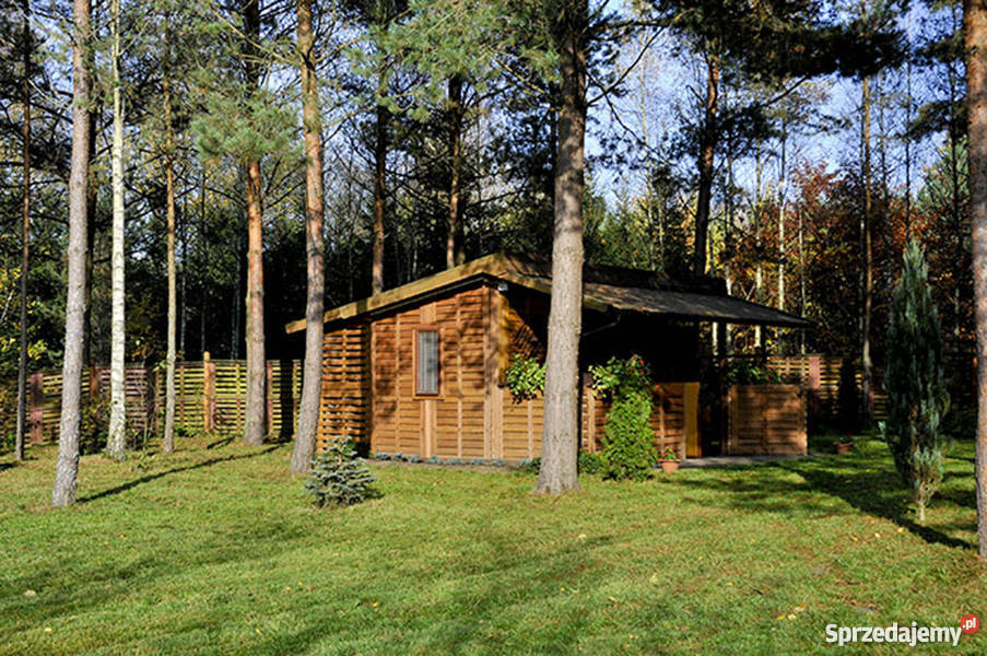 Działka rekreacyjna rzeką W lesie warmińsko-mazurskie Purda Leśna