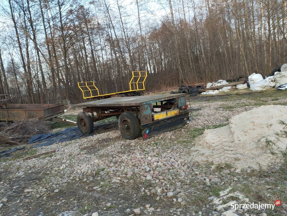 Przyczepa sztywna d 50 Łapy