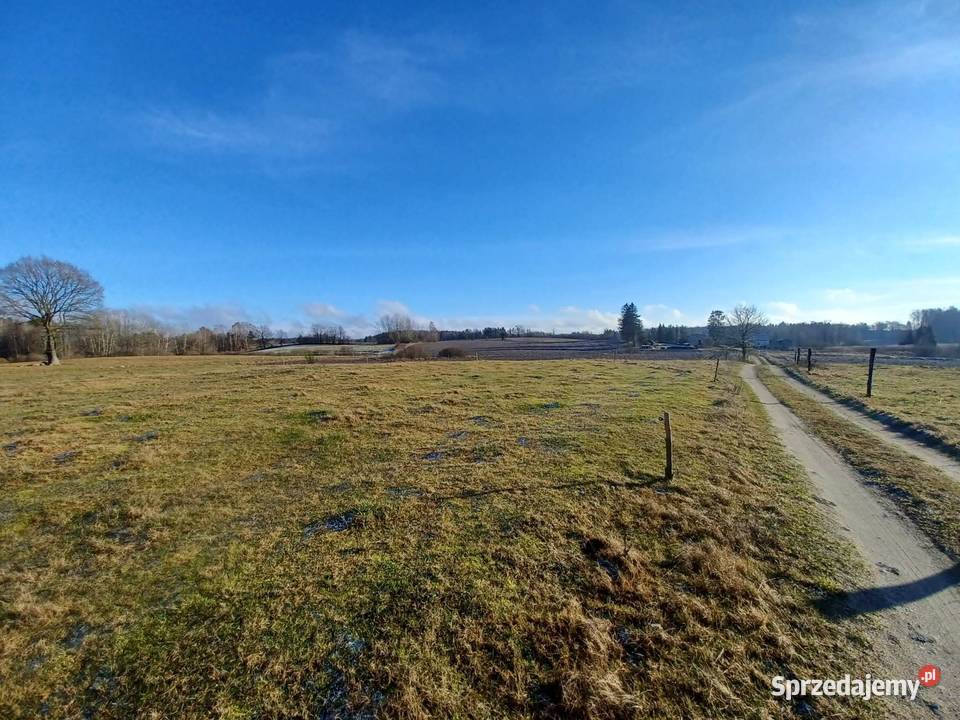 Działka budowlana 981m2 Kołtki