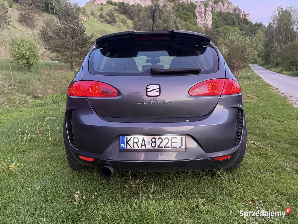 Seat Leon cupra Racławice
