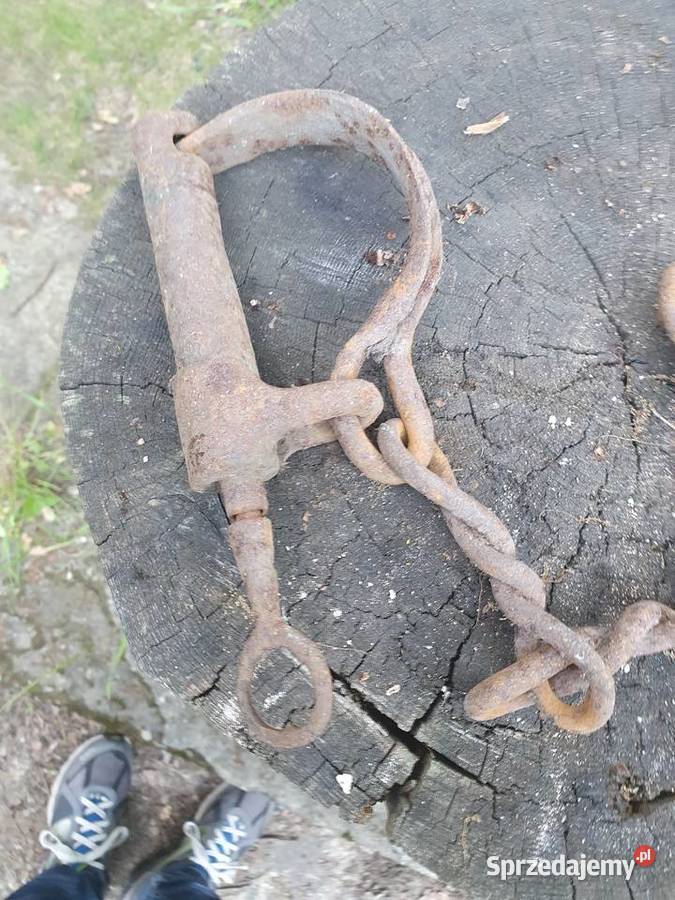 Kajdany okowy pęta do konia przedwojenne antyk sprzedam