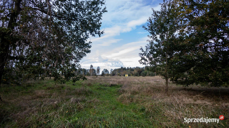 Działka 4300m2 Bratucice