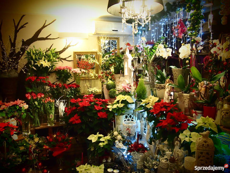 Sprzedam asortyment kwiaciarni sprzedam