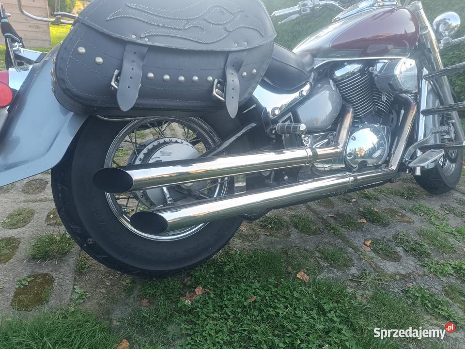 Suzuki VL 800 Volusia