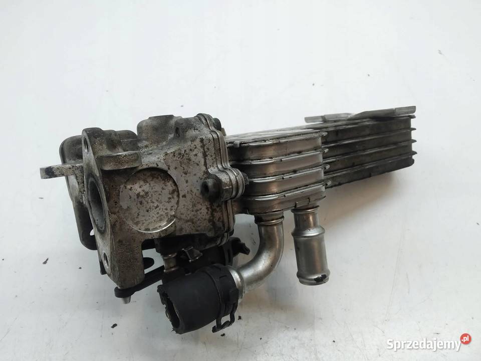 CHŁODNICA SPALIN 03G131513 20 TDI VW Volkswagen