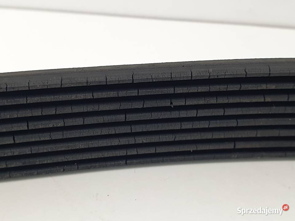 PASEK KLINOWY WIELOROWKOWY 8PK 8PK1230 łódzkie Janowice