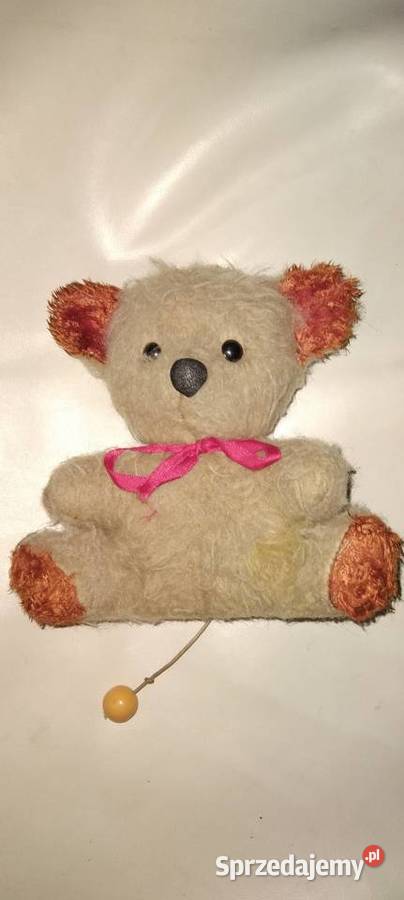 Miś z pozytywką podlaskie