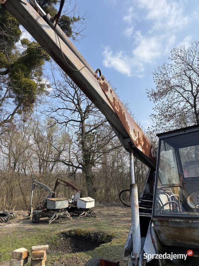 Cyklop Polski nowy typ nieuszkodzony Głogówek