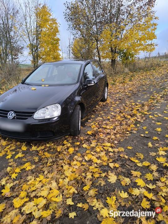 Sprzedam Golf 19 TDI 90 koni 340100km Golf wielkopolskie Trzcianka