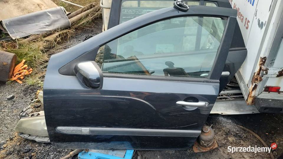 Drzwi lewe prawe przód przednie Renault Laguna wielkopolskie Książ Wielkopolski
