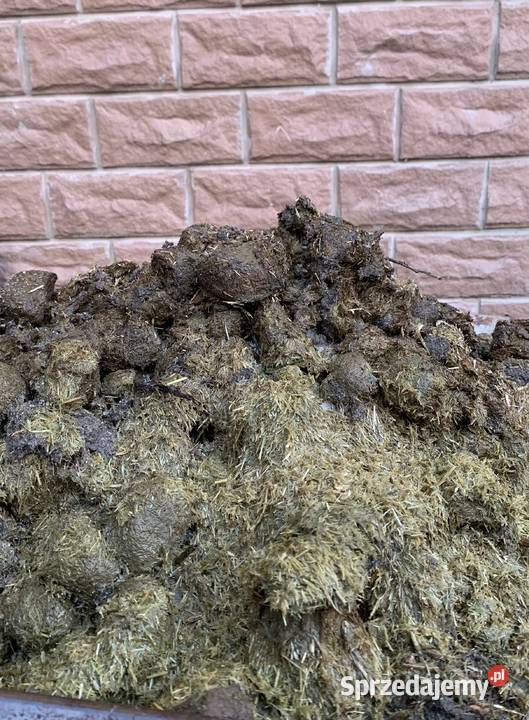 Obornik koński nawóz naturalny do roślin Żukowo