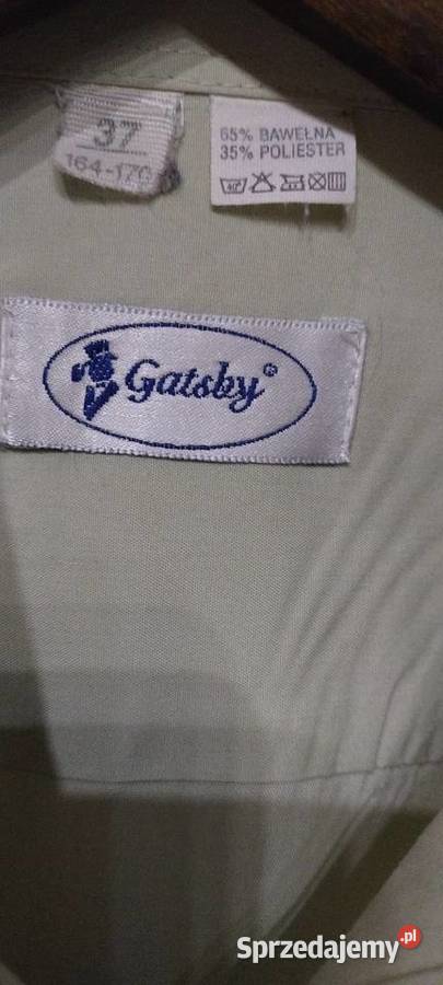 Koszula męska w pastelowej zieleni Firmy GATSBY Pozostałe Lublin