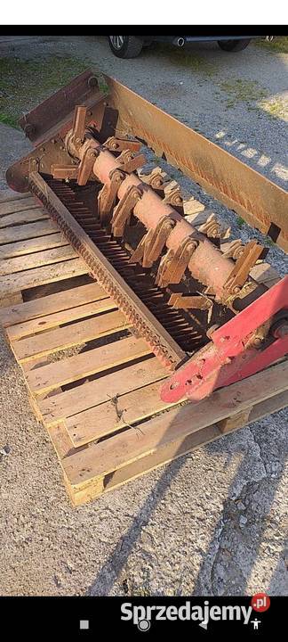 Sieczkarnia Massey Ferguson 520 525 530 łódzkie Czyżyków sprzedam