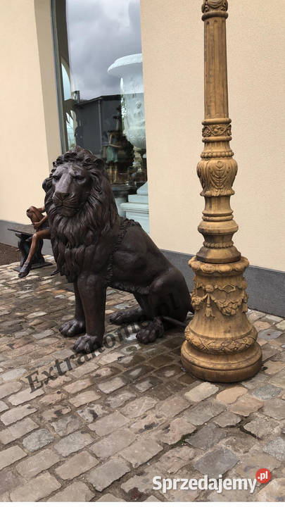 Lew z brązu H150 figura z brązu Wrocław