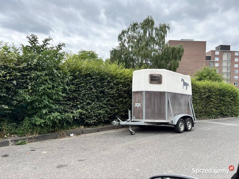 BLOMERT Przyczepa konna na 2 konie dwukonna pomorskie Żukowo