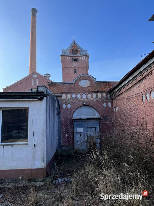 Syndyk sprzeda obiekt jednolity funkcjonalnie 95zł/m2