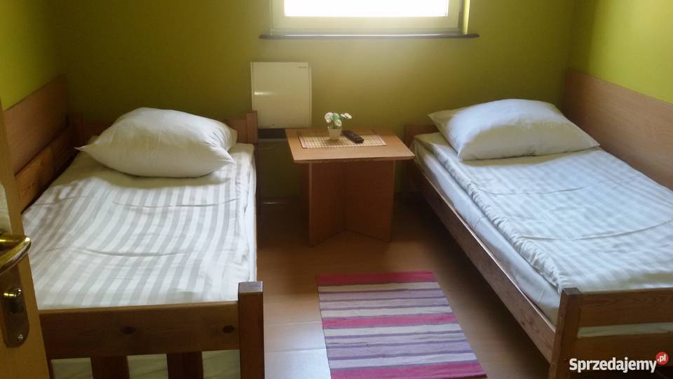 wynajem pokoi Płock