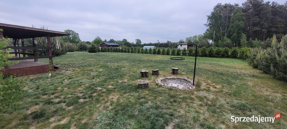 Działka rekreacyjna z warunkami 155zł/m2 Złotniki-Kolonia