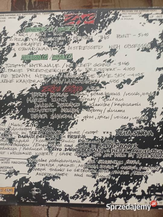 Płyta gramofonowa Ziyo rock Płyty i kasety zachodniopomorskie Koszalin