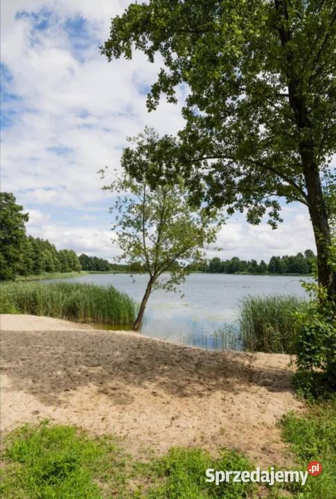Działka jeziorem kujawsko-pomorskie Rybiny