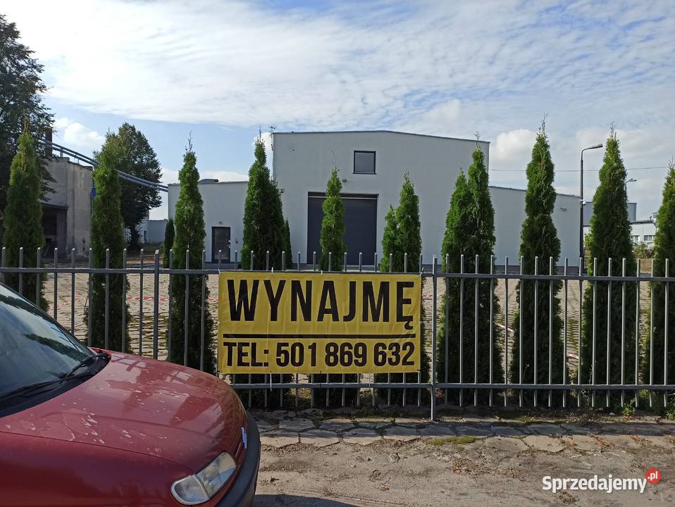 Syndyk wynajmie miejsce w hali wysokiego Chełmża