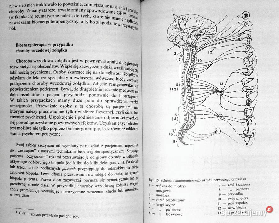 Bioenergoterapia praktyczna Ryszard Roman Ulman