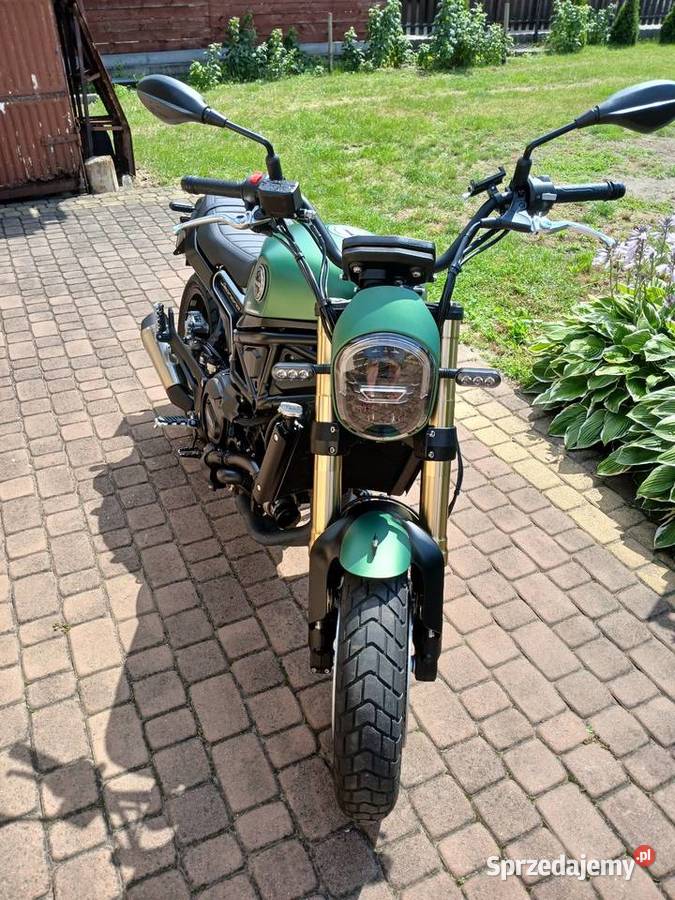 Benelli Leoncino 800 Scrambler nowy 800cm3 Benelli Kutno